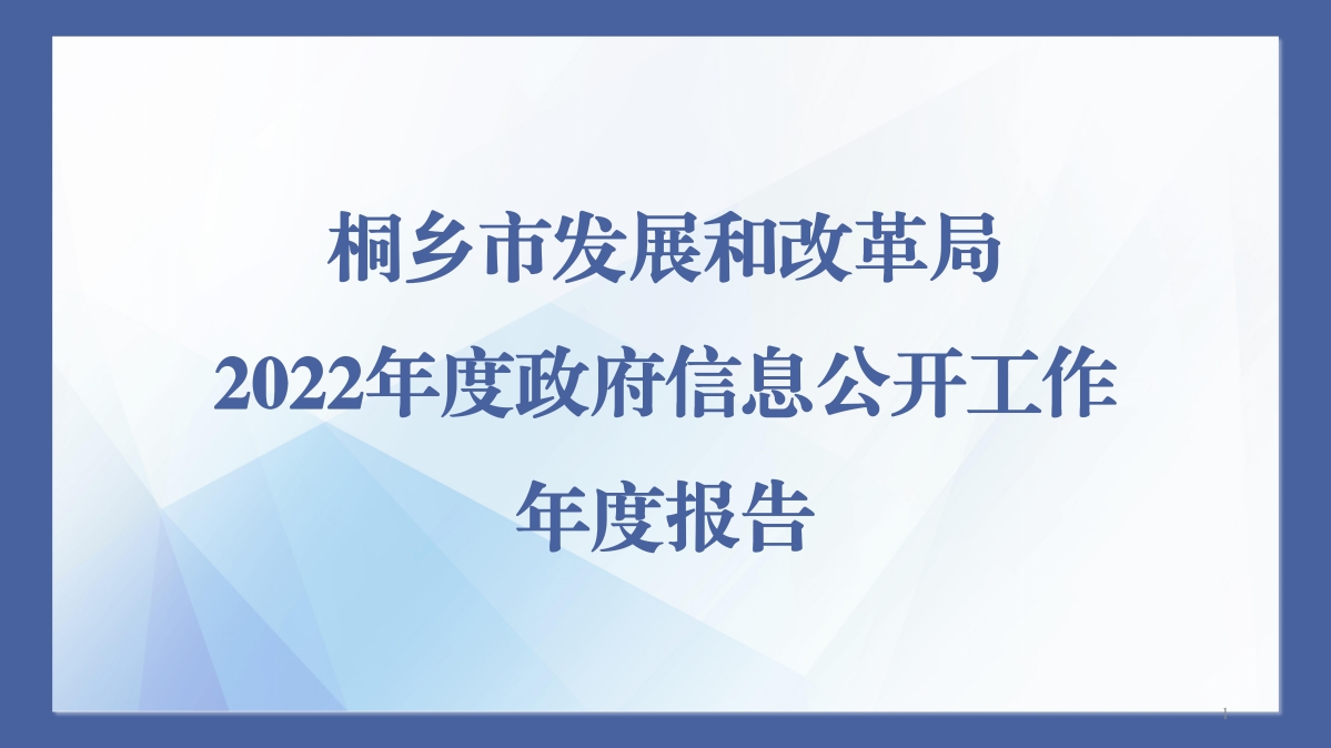 桐鄉市發展和改革局2022年度政府信息公開工作年度報告_01.jpg